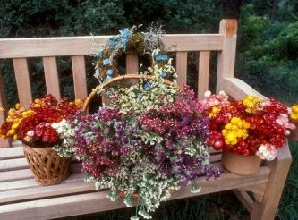 Цветы на скамейке фото