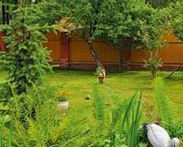 Проект сада своими руками: Дачное королевство для Барни цветы садовые, сад и огород своими руками, работа в саду и огороде, идеи для сада и огорода, дизайн огорода и сада, дача сад и огород, дача своими руками, дорожка на даче своими руками, формление сада огорода своими руками, красивые сады огороды дачи, дача сад огород