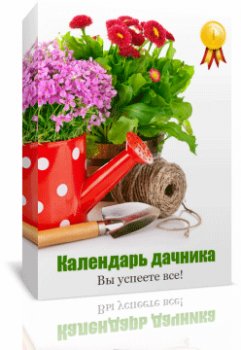 Еженедельный дизайн дачного участка своими руками