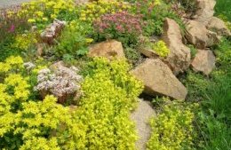 Для альпийской горки хороши камни пастельных тонов