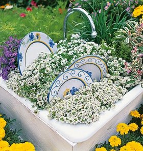 Клумба из старой раковины Клумба из старой раковины