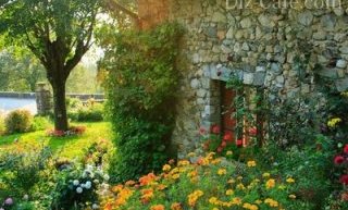 Кухня в стиле кантри Кухня в стиле кантри