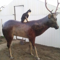 Олень из монтажной пены