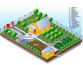 Планировка дачного участка фото