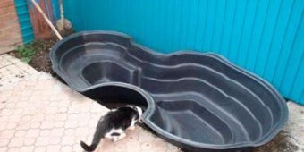 Пластиковая чаша Пластиковая чаша