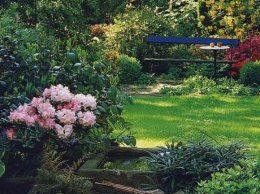 сад с цветущими кустарниками