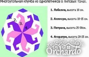 Схема 2 однолетники Схема 2 однолетники