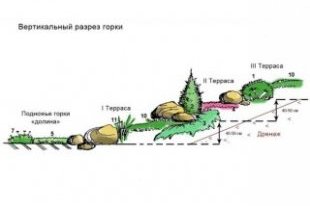 Схемы альпийской горки своими руками Схема альпинария