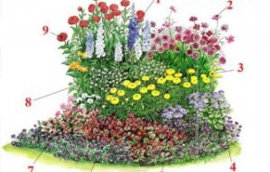Схема клумбы для бабочек Схема клумбы для бабочек