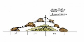 Схема строения альпийской горки