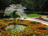 Участок Своими Руками