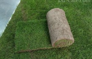 Универсальный газон Универсальный газон