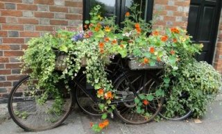Велосипеды в качестве цветников