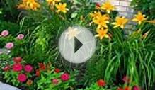 Как сделать красивый цветник на даче из шины своими руками