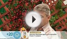 Как сделать рукомойник из пластиковых бутылок?