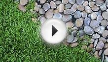Как сделать сад камней на дачном участке