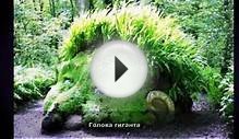 Как украсить дачу своими руками. Интересные идеи