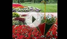 Красивые клумбы на даче в виде зонта. Зонт в дачном дизайне