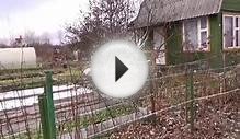 Моя дача в ноябре.Как подготовить сад и огород к зиме.