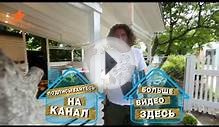Обои из газет: советы "Дачи" - Дача - Выпуск 67