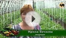 Сад и огород-117 Еще раз о томатах 2 ч