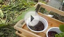 Удобный Парник Своими Руками Для Огурцов. Идеи Для Дачи и