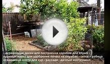 Украшение дачного участка своими руками — оформление дачи