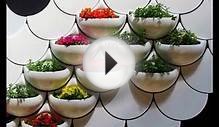 вертикальное озеленение своими руками - красивые штучки