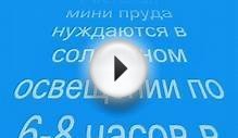 Водоем на даче.Искусственный водоем своими руками.