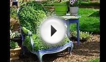 Зеленый мох - оригинальное украшение участка, сада, дачи